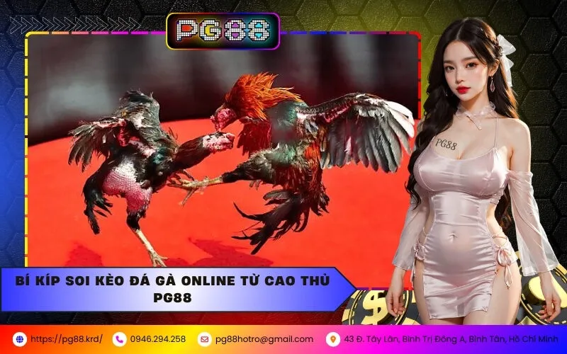 Bí Kíp Soi Kèo Đá Gà Online Từ Cao Thủ PG88